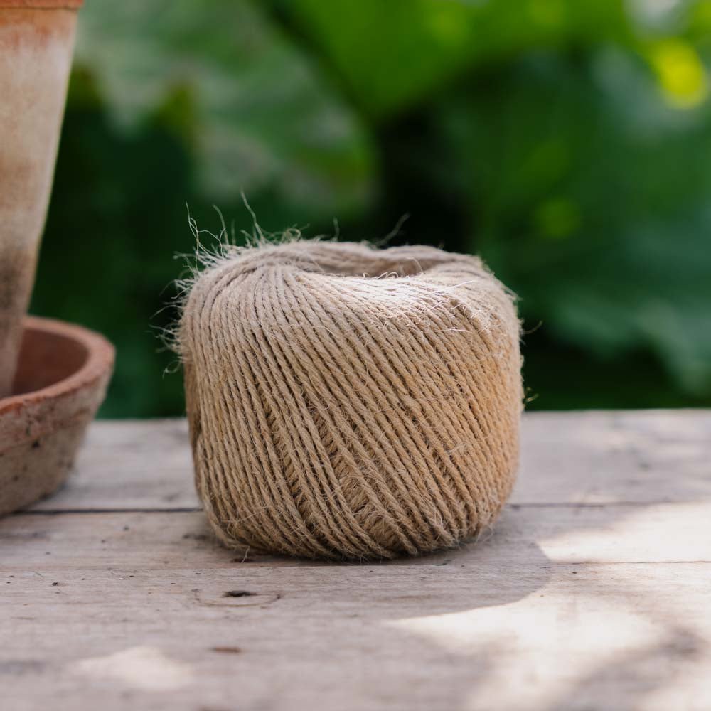 Jutesnor bleg sten, 5 m