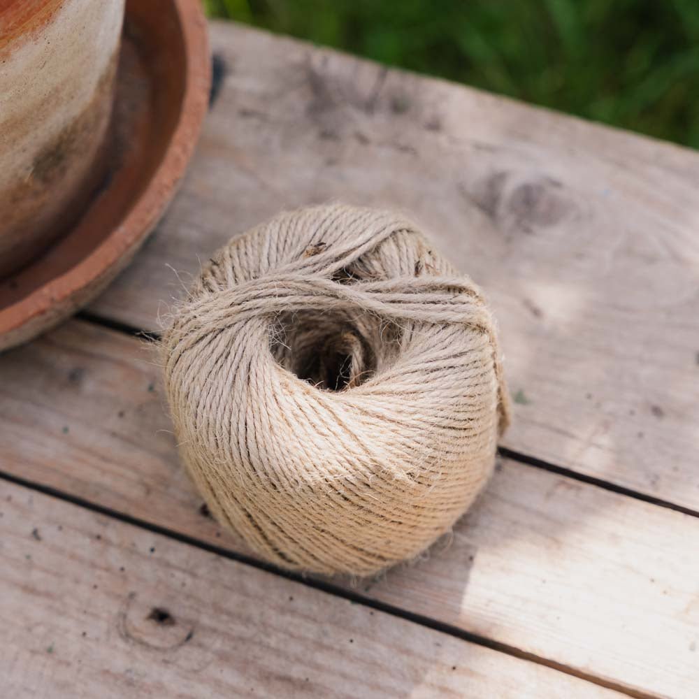 Jutesnor bleg sten, 5 m