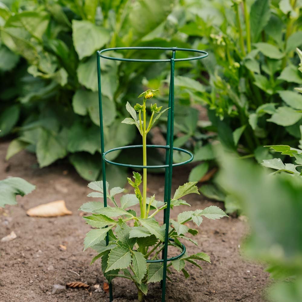 Koniskt växtstöd, L: 18 cm B: 18 cm H: 48 cm