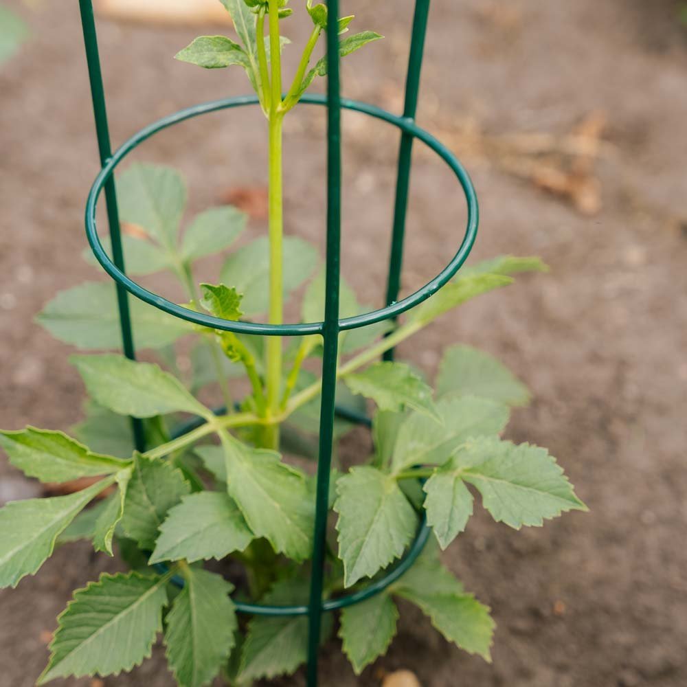 Koniskt växtstöd, L: 18 cm B: 18 cm H: 48 cm