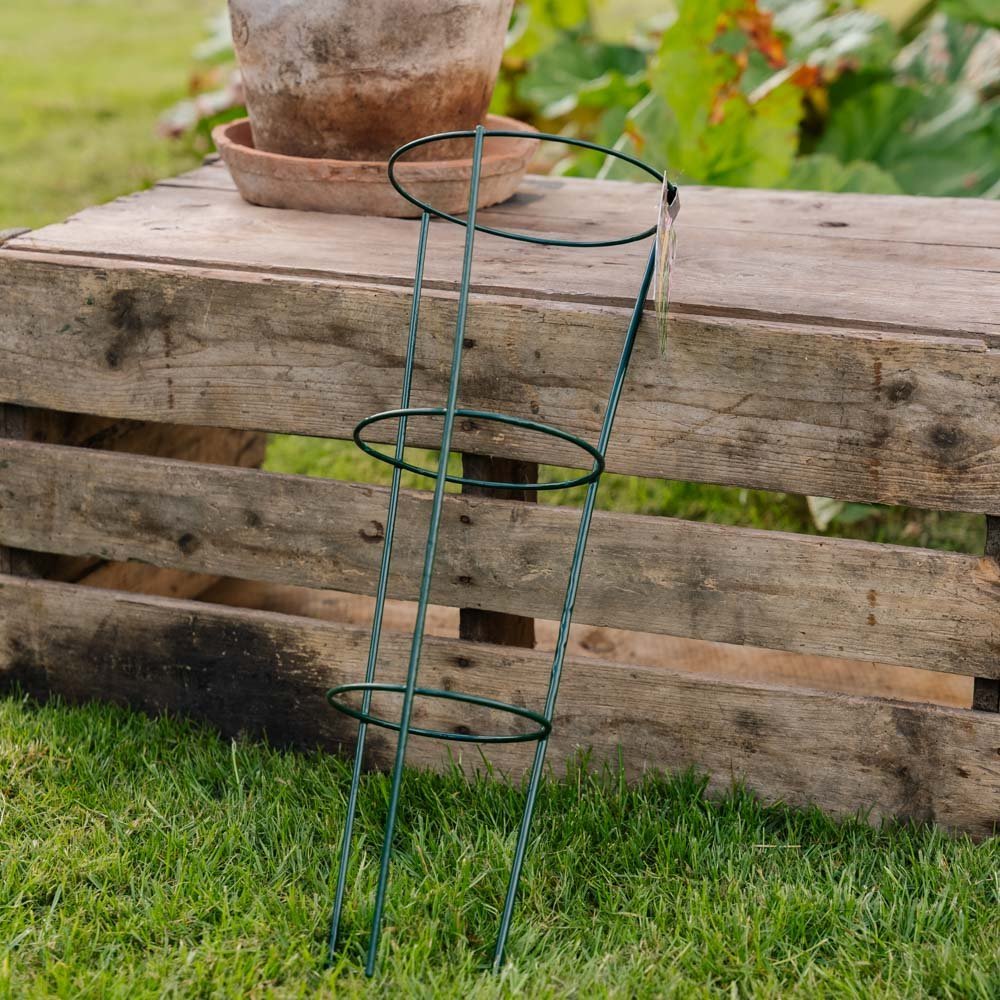 Koniskt växtstöd, L: 18 cm B: 18 cm H: 48 cm