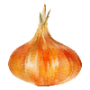 Grönsaksfrön