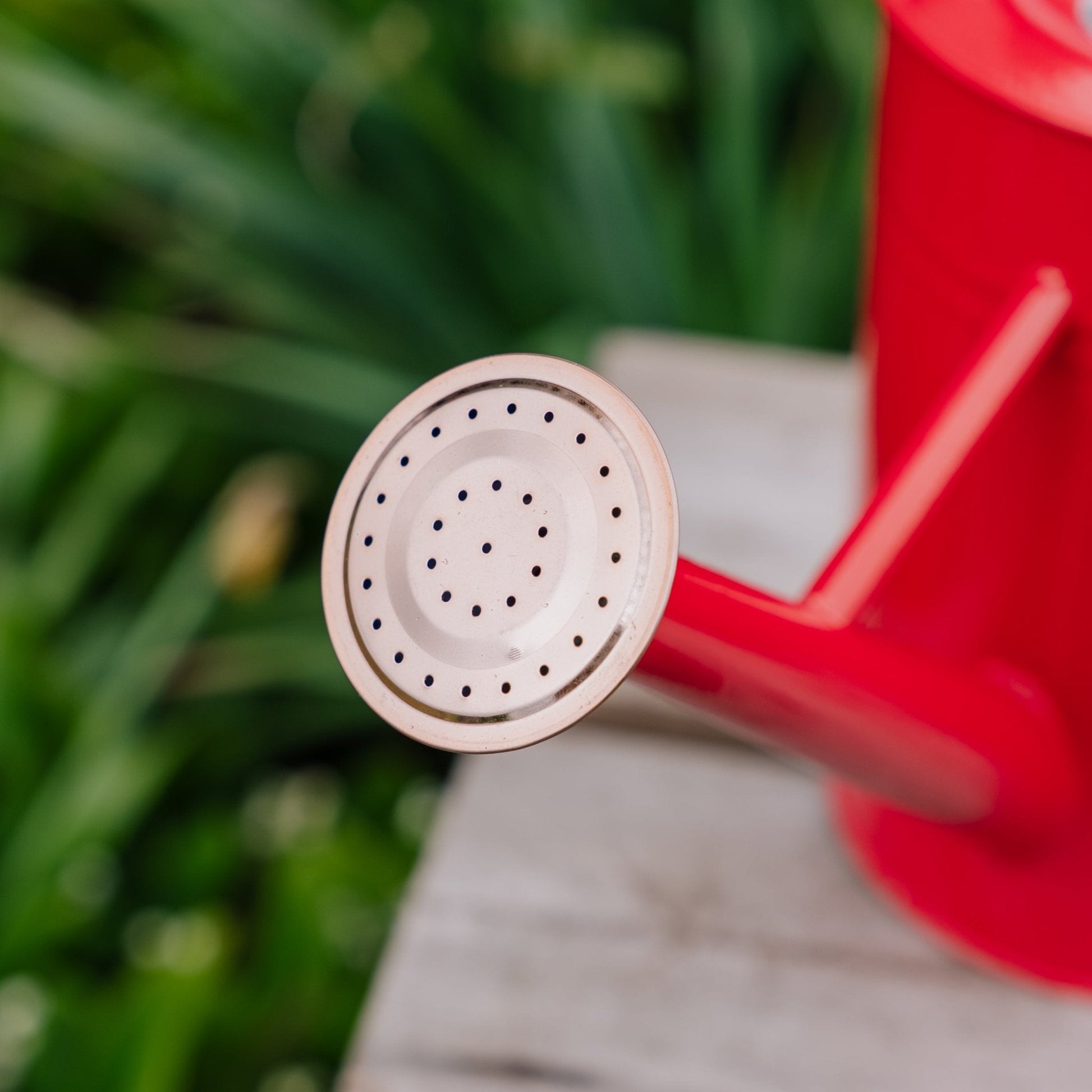 Metallvattenkanna, 4,5 L, scharlakansröd