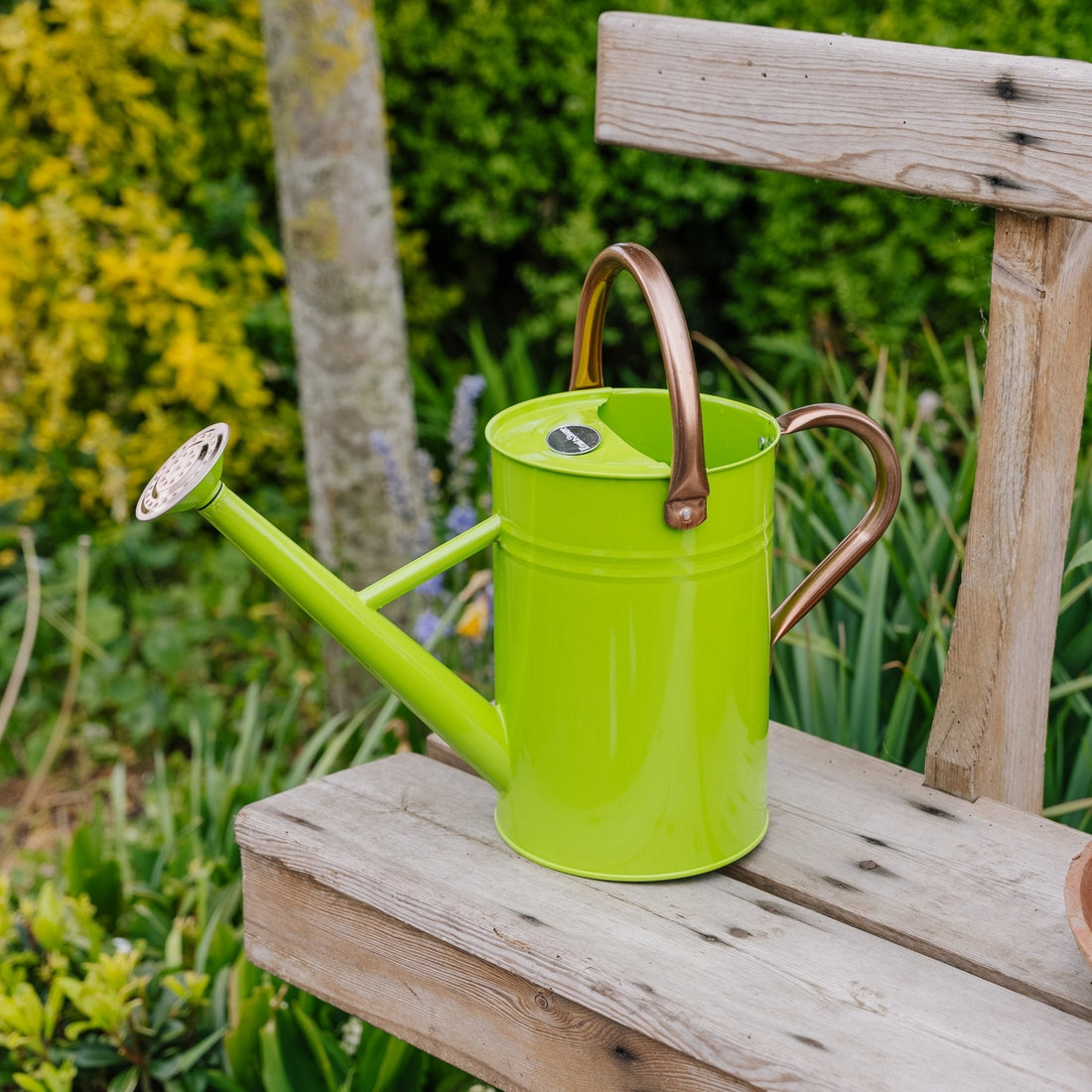 Metalvandkande, 4,5 L, frisk grøn