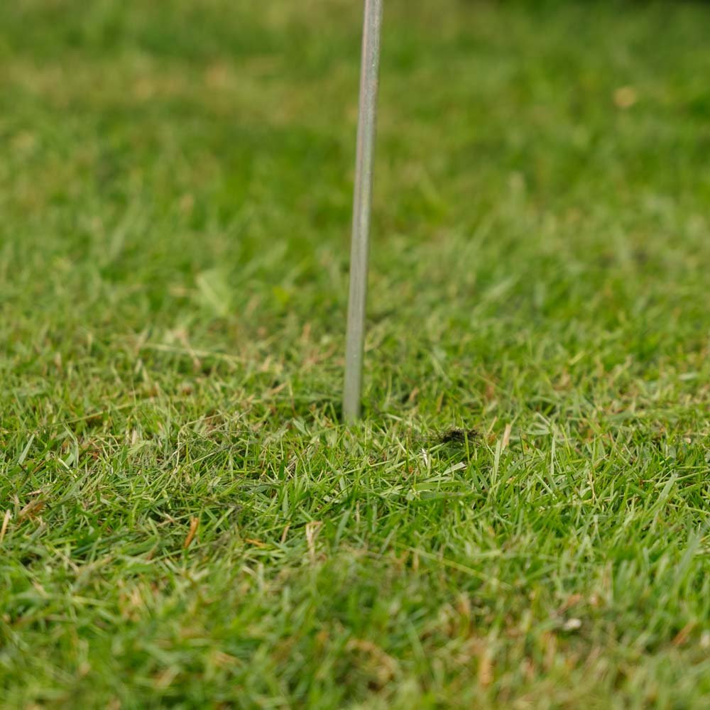 MuldvarpeFri Løbegangsfinder 1 stk.