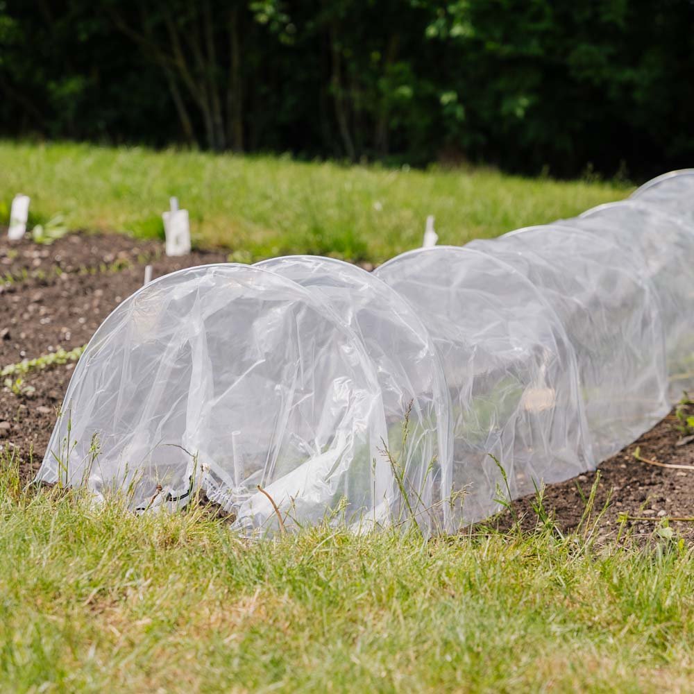 Plast‒gro‒tunnel, 310 cm