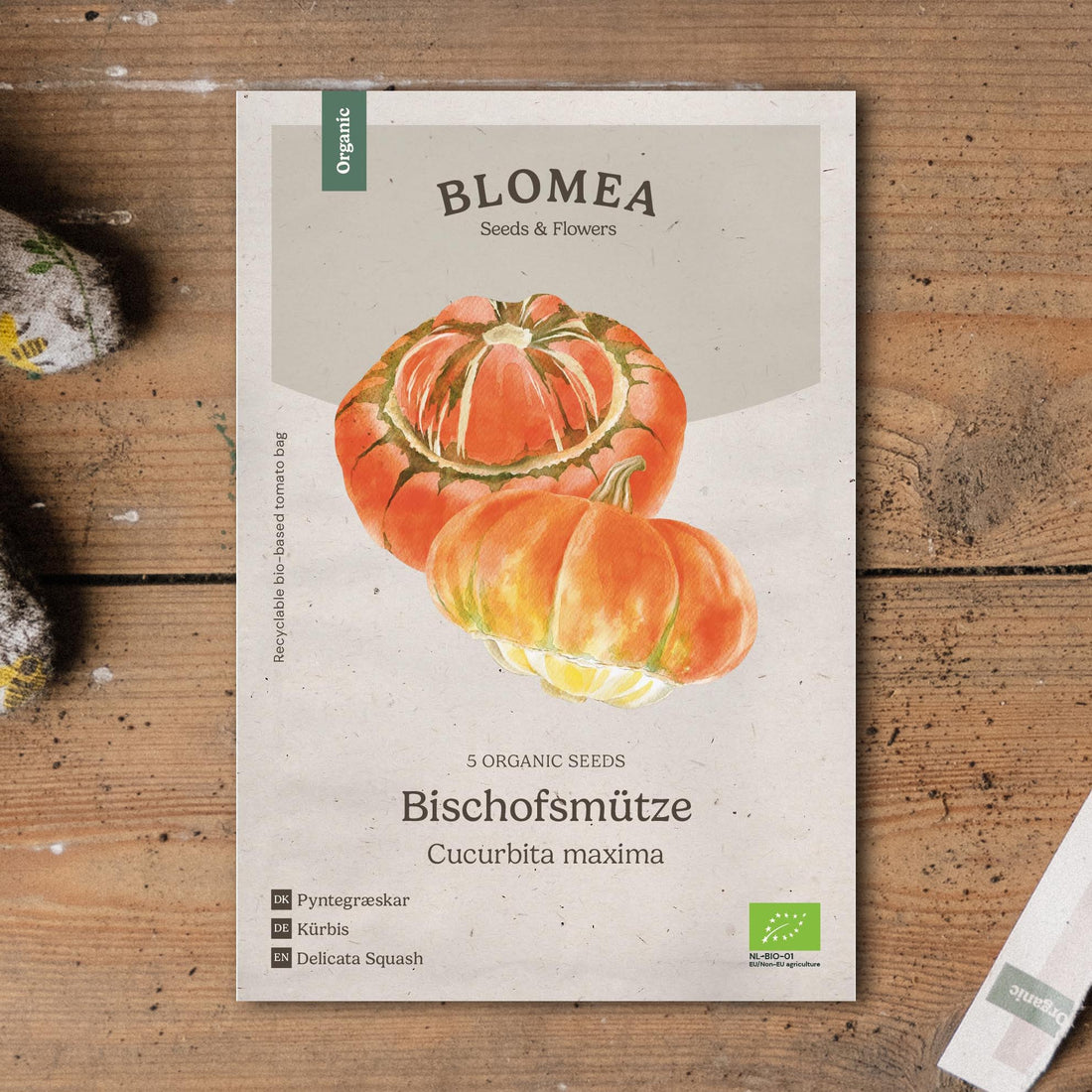 Prydnadspumpa frö 'Bischofsmütze' - 5 Ekologiska Frön