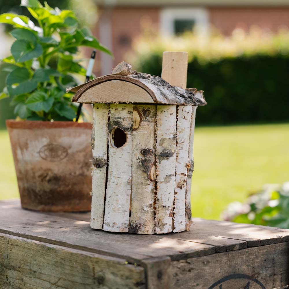 Redekasse, birketræ, Ø: 17 cm H: 30 cm