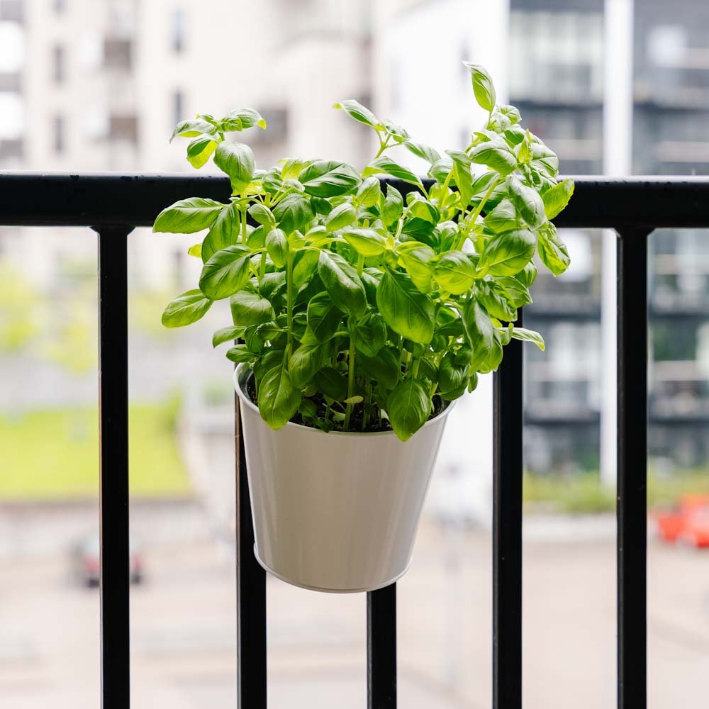 Rund altankrukke, L: 24,5 cm B: 16,2 cm H: 25,2 cm