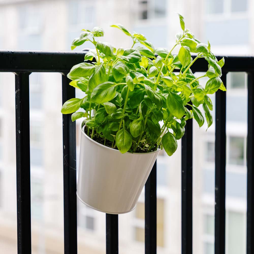 Rund altankrukke, L: 24,5 cm B: 16,2 cm H: 25,2 cm