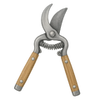Saxar