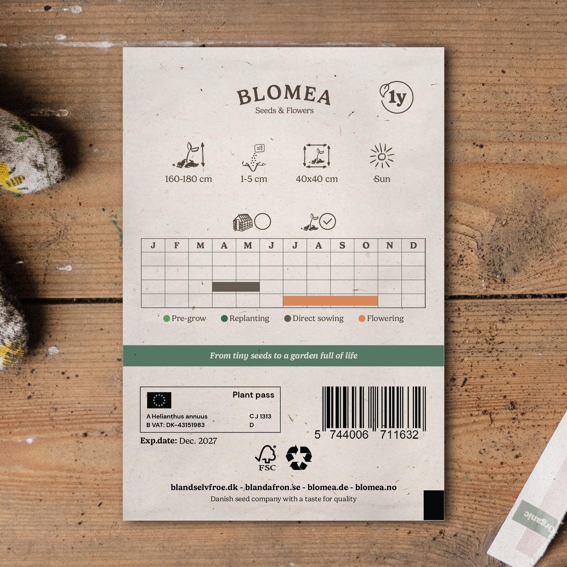 Solsikkefrø 'Medium Flowered' - 20 Økologiske Frø