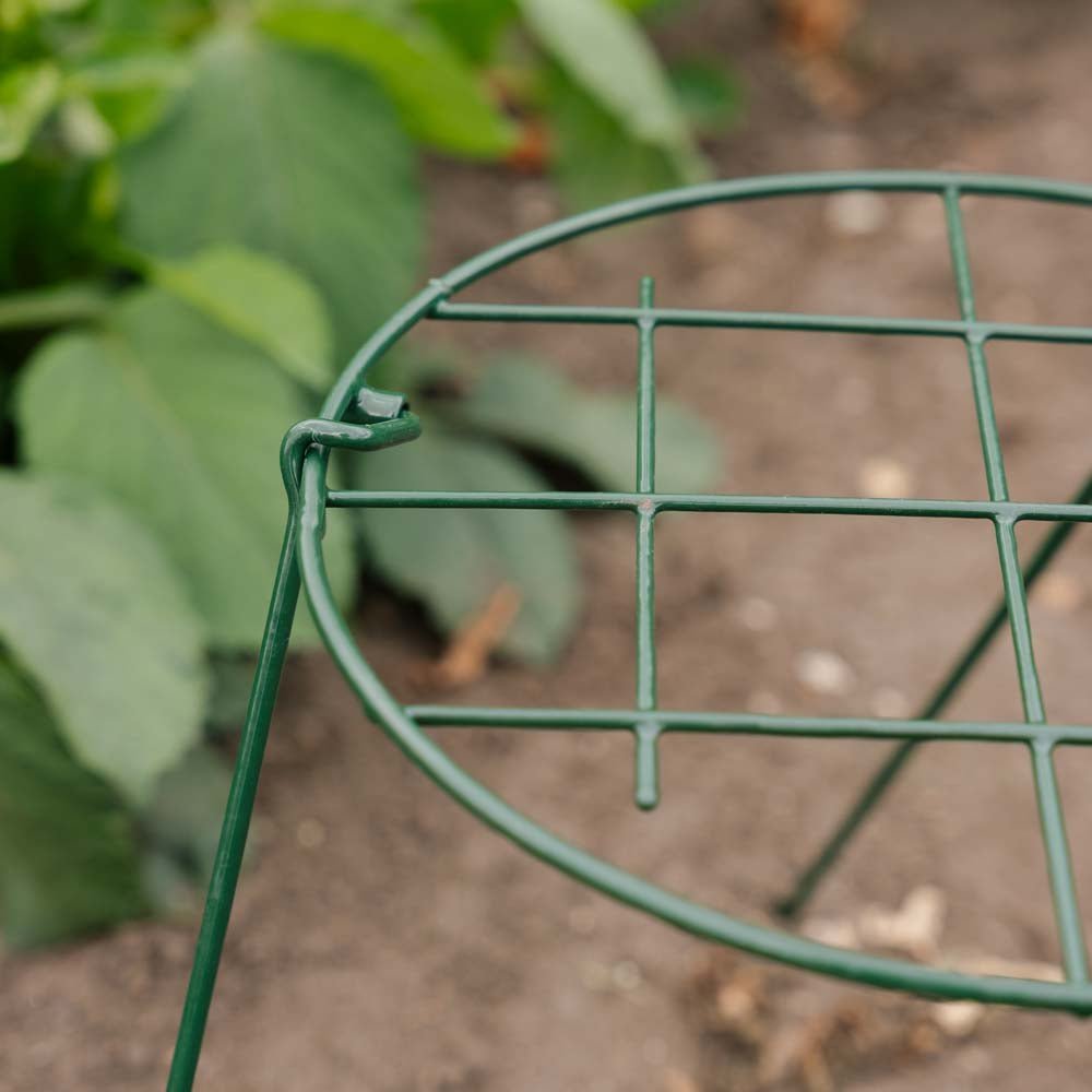 Stödnät för växter, B: 30 cm H: 45 cm