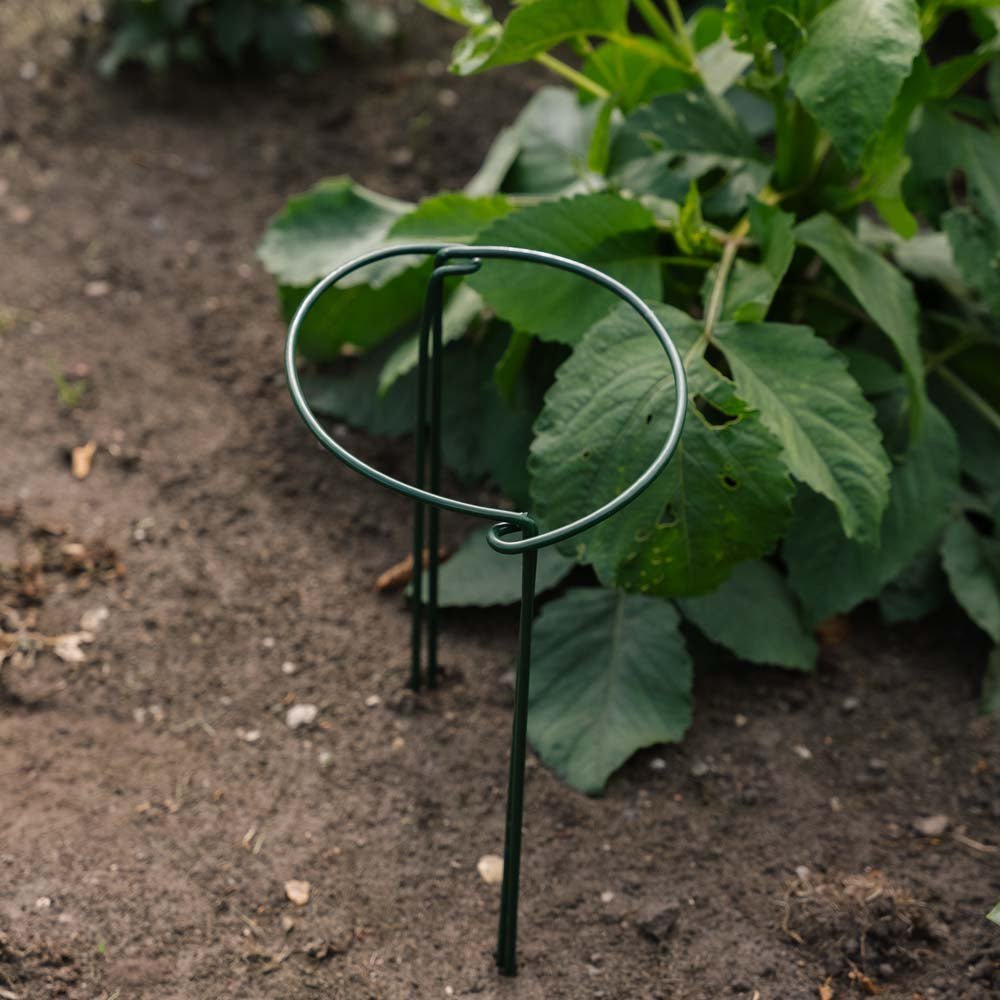 Stödställning för växter, B: 20 cm H: 35 cm