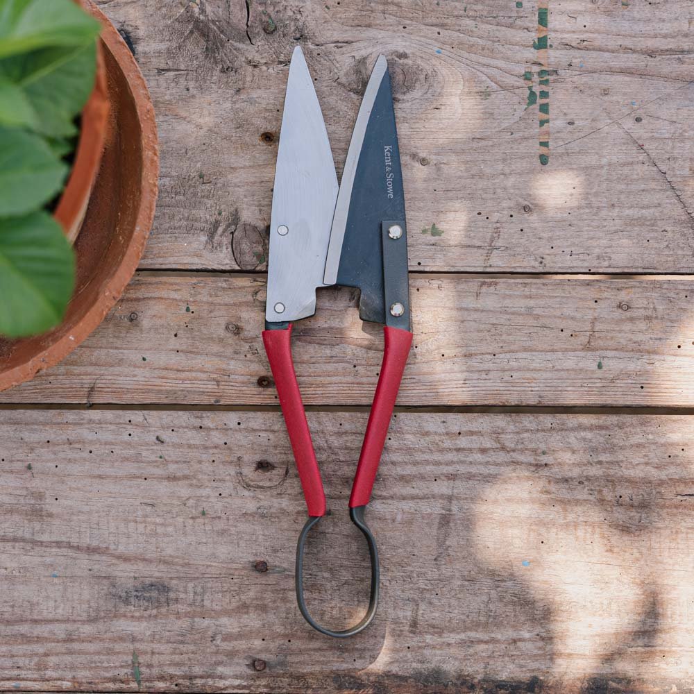 Store topiary - sakse