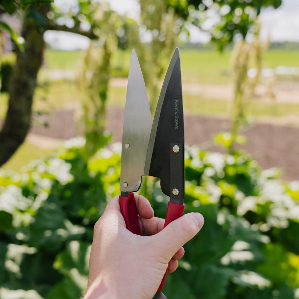 Store topiary - sakse