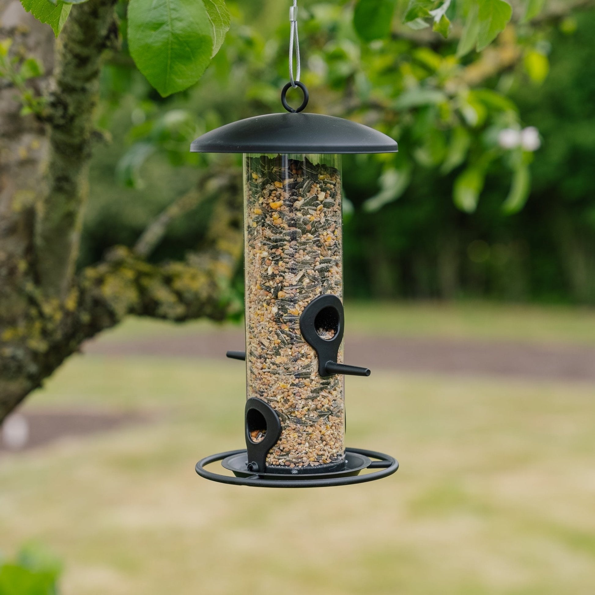 Svart fröfoderautomat, Ø: 14 cm H: 26 cm