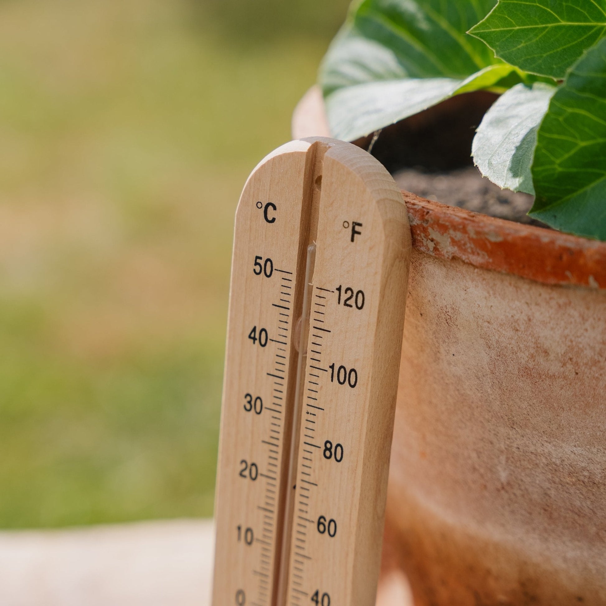 Trätermometer i trä