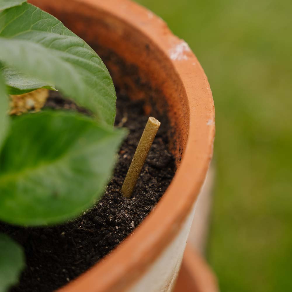 Universella gödningspinnar 30 st.