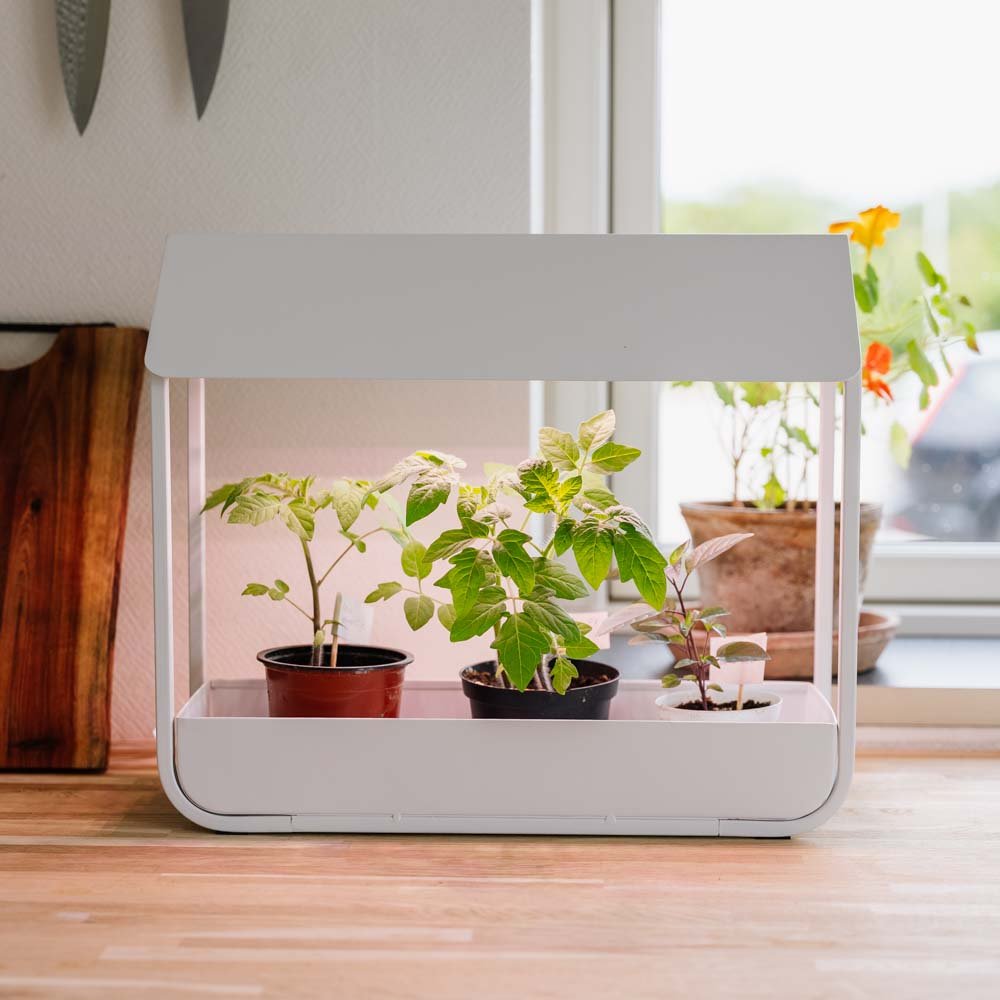 Vækstlys, hvid, L: 17.5 cm B: 42.4 cm H: 36.5 cm