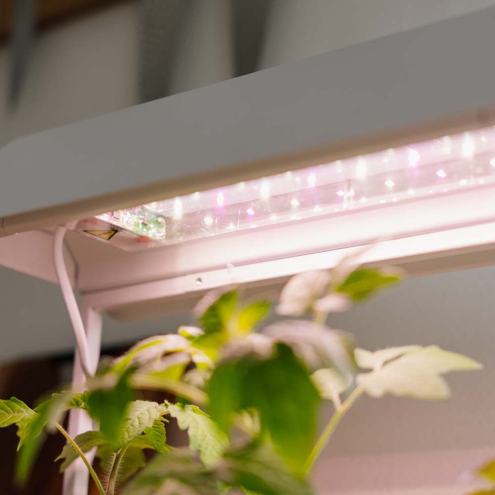 Vækstlys, hvid, L: 17.5 cm B: 42.4 cm H: 36.5 cm