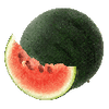 Grönsaksfrön
