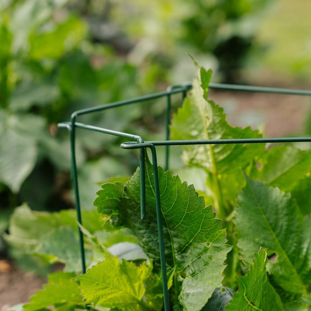 Växtstöd, 4 st, H: 45cm x B: 17cm