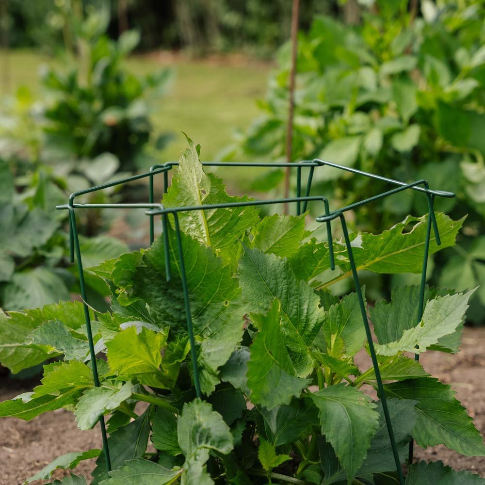 Växtstöd, 4 st, H: 45cm x B: 17cm