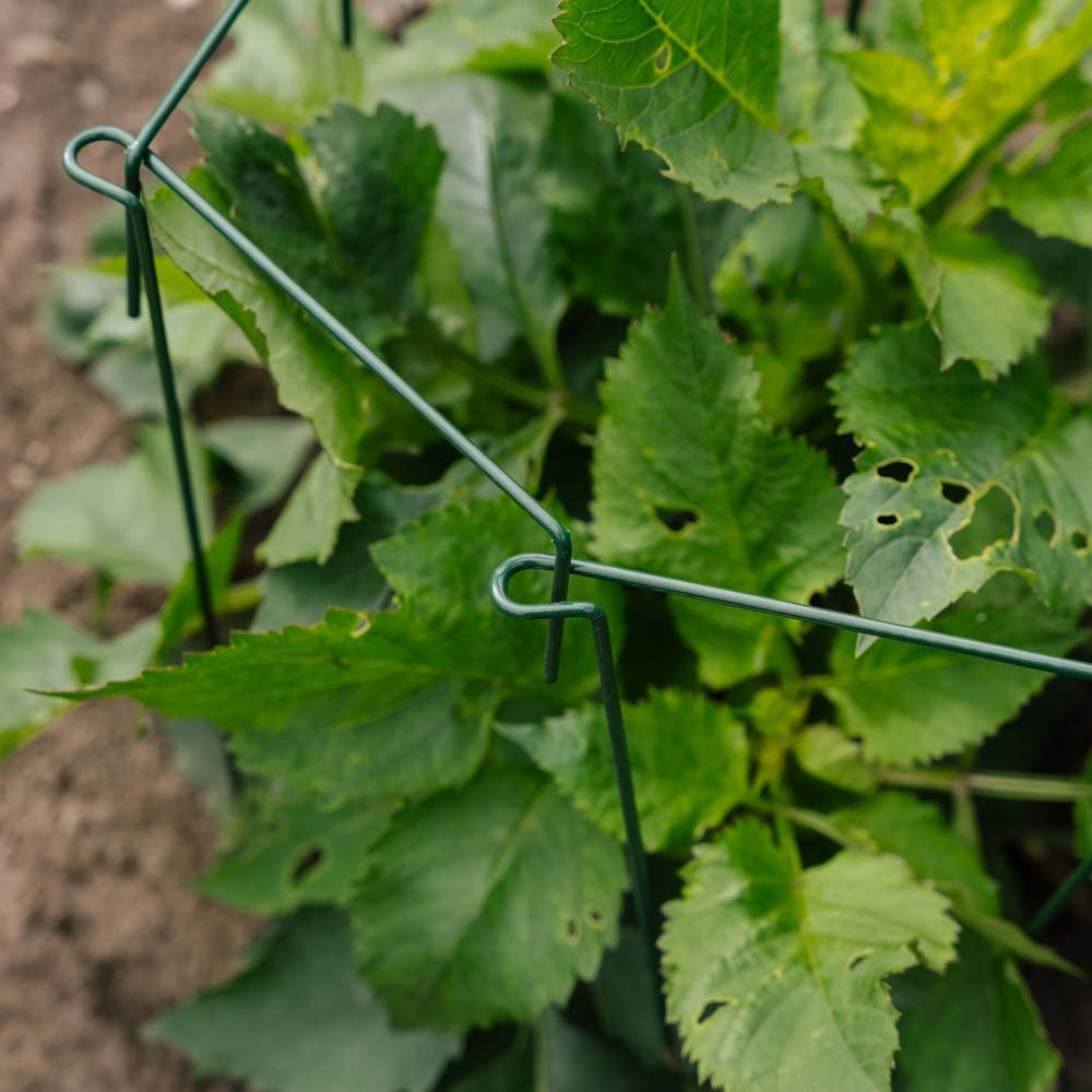 Växtstöd, 4 st, H: 45cm x B: 17cm