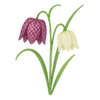 Vårblommor