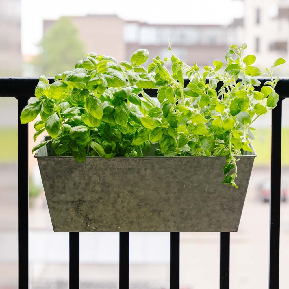 Zink balkonglåda, L: 40 cm B: 16 cm H: 16 cm