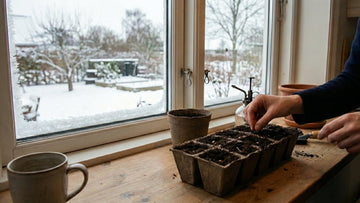 Förodla i februari - Blanda Frön