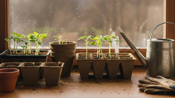 Förodla i mars - Blanda Frön