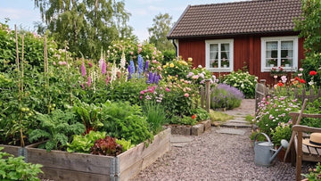 Sommar i trädgården - Blanda Frön