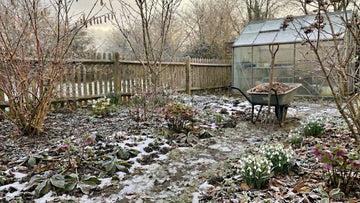 Trädgården i februari - Blanda Frön