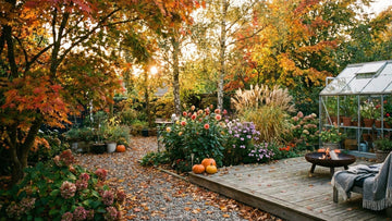 Trädgården i oktober - Blanda Frön