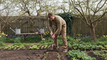 Vad kan man så i april - Blanda Frön