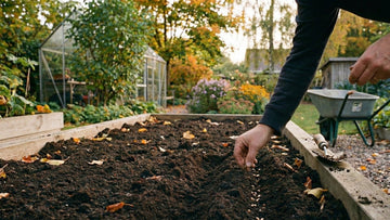Vad kan man så i september - Blanda Frön
