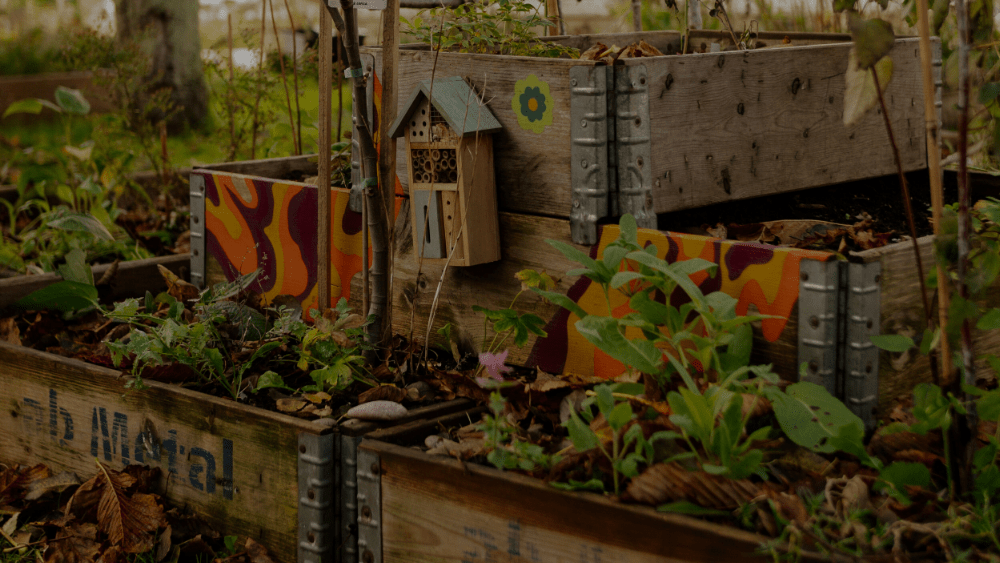 Black Month - Blanda Frön