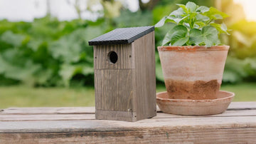 Fågelholkar - Blanda Frön