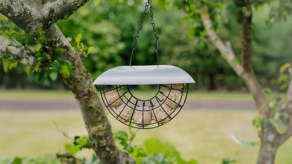 Foderautomater - Blanda Frön