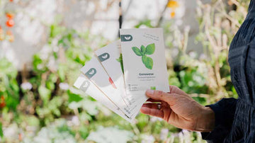 Julklappar - Blanda Frön