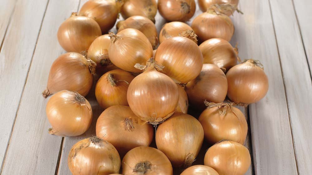 Lökar - Blanda Frön