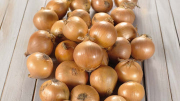 Lökar - Blanda Frön