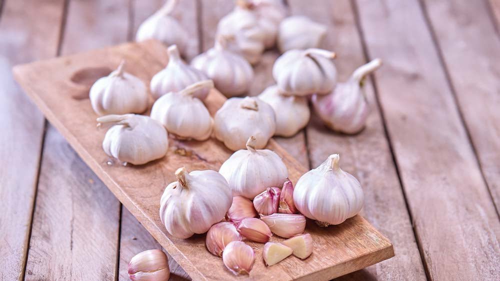 Vitlök - Blanda Frön