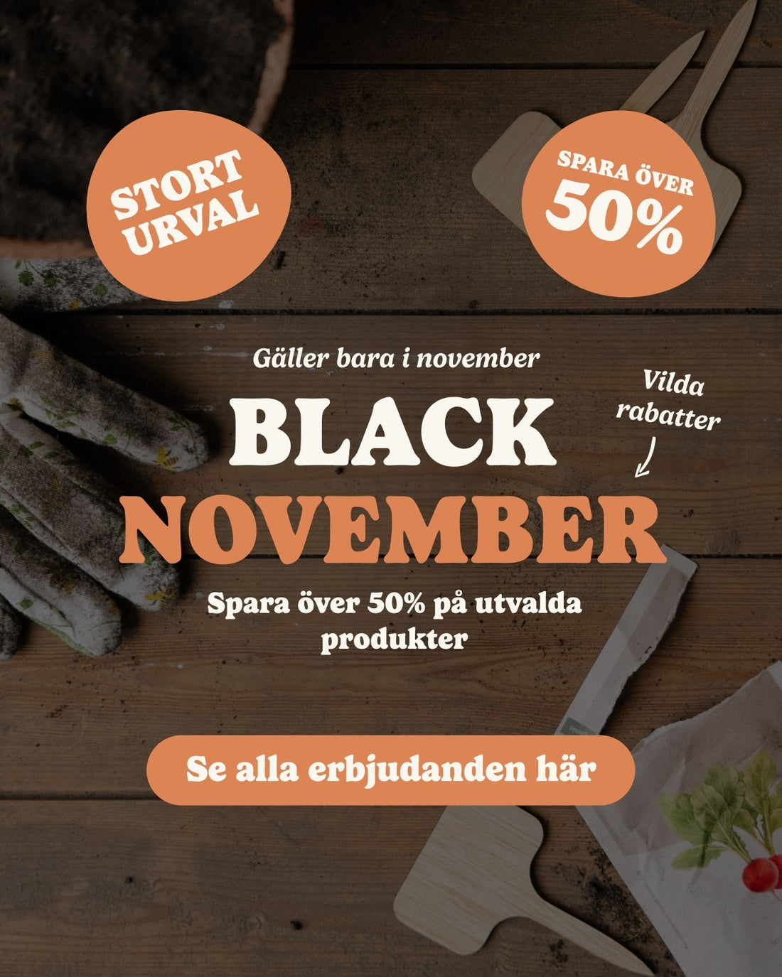 slider image slider_item_bahetq