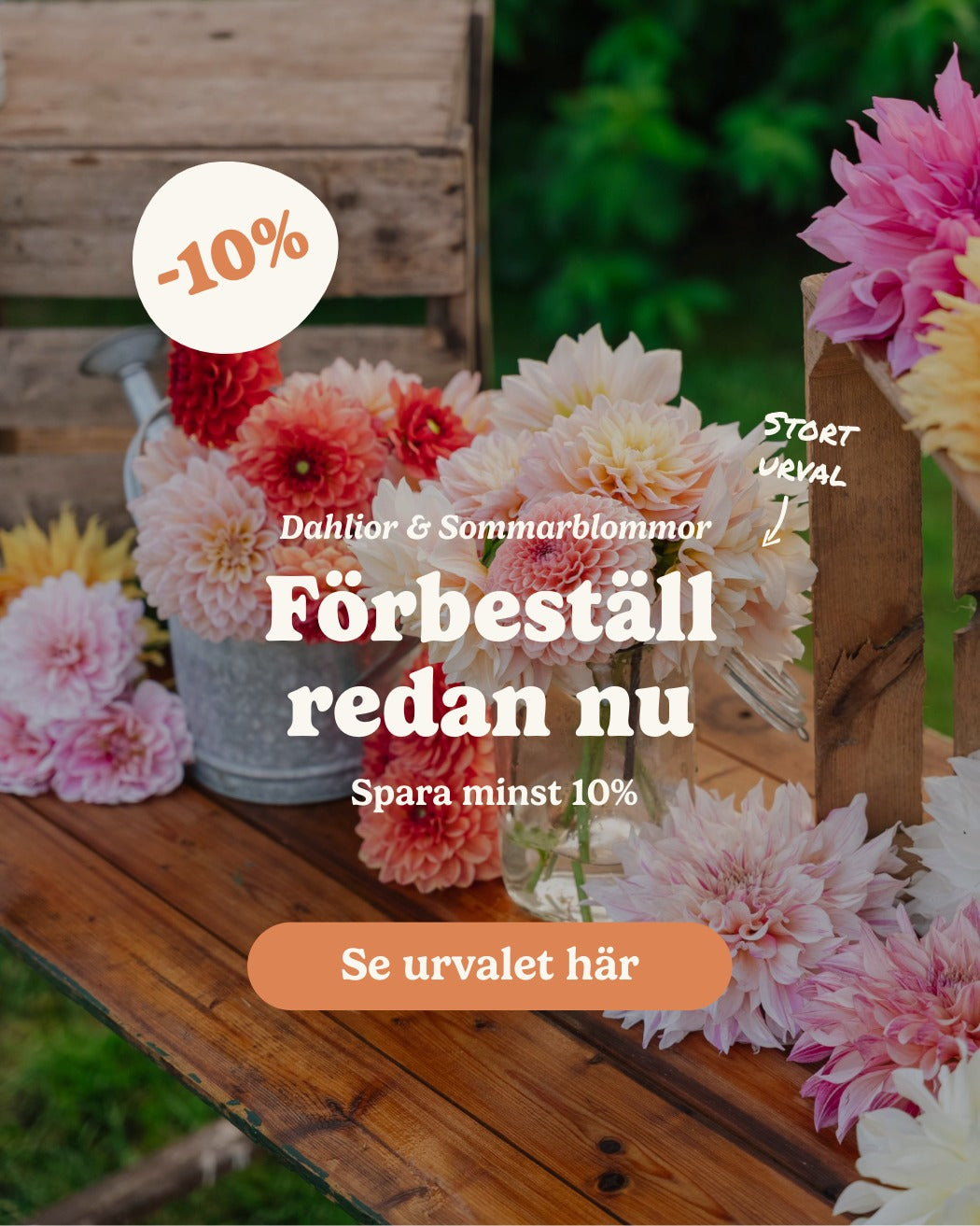 slider image slider_item_bahetq