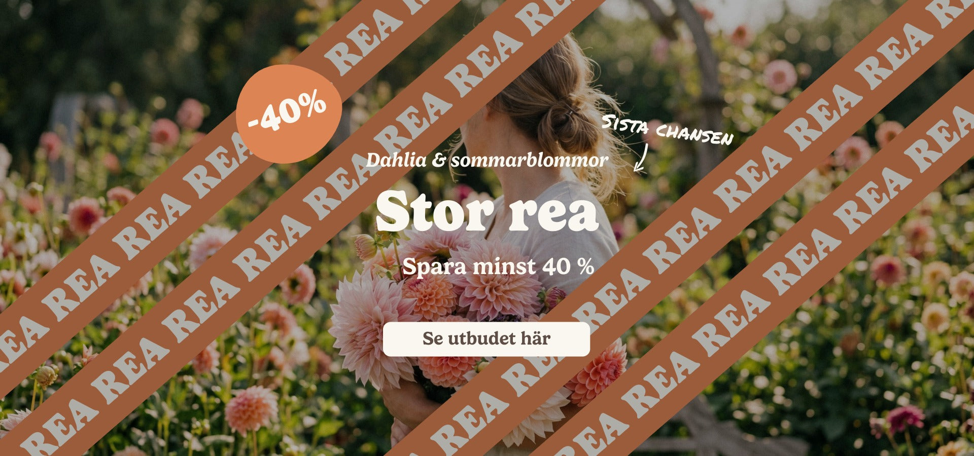 slider image slider_item_wentH4