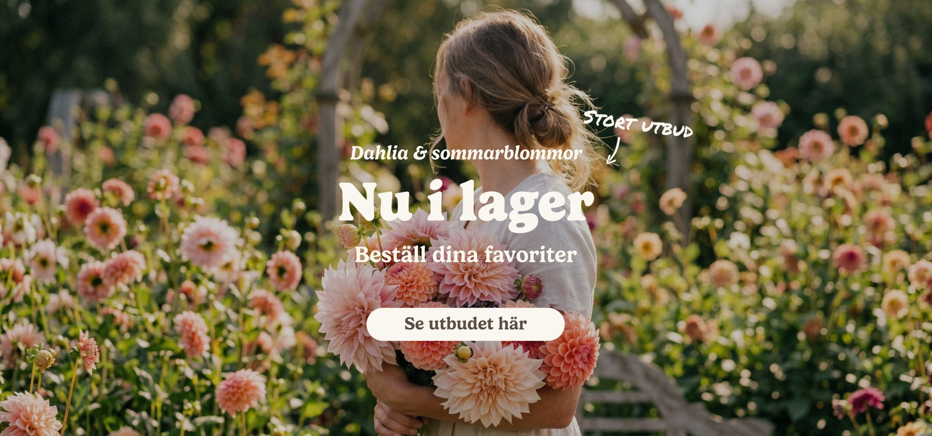 slider image slider_item_bahetq