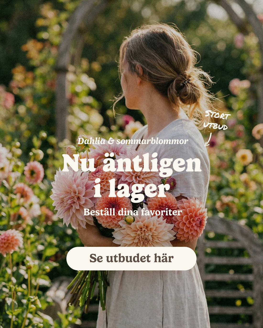 slider image slider_item_bahetq